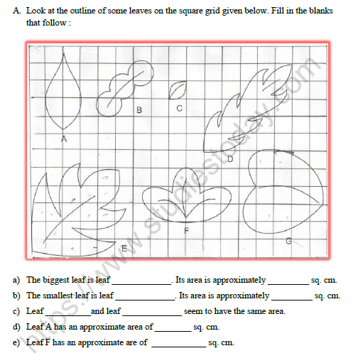 Class 5 Maths How Many Squares Worksheet Set A